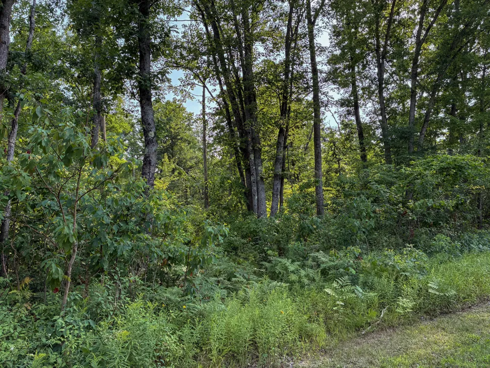 E Jackson Street White Cloud, MI 49349