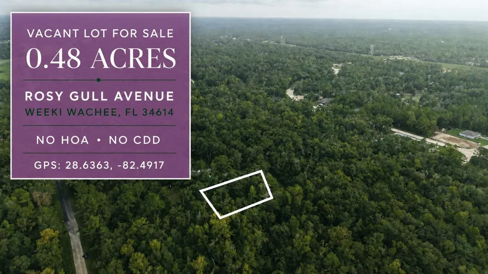 14186 ROSY GULL AVENUE Weeki Wachee, FL 34614