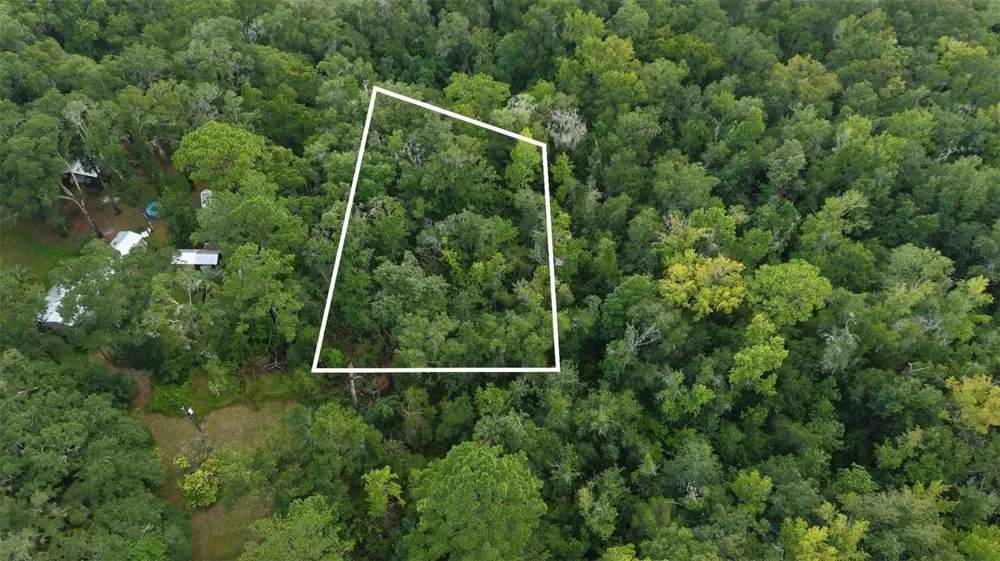 14186 ROSY GULL AVENUE Weeki Wachee, FL 34614