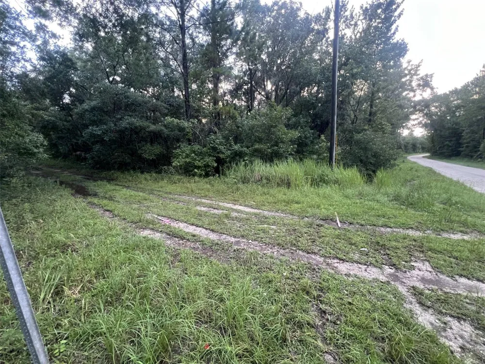 14186 ROSY GULL AVENUE Weeki Wachee, FL 34614
