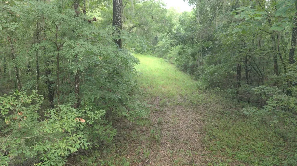 14186 ROSY GULL AVENUE Weeki Wachee, FL 34614