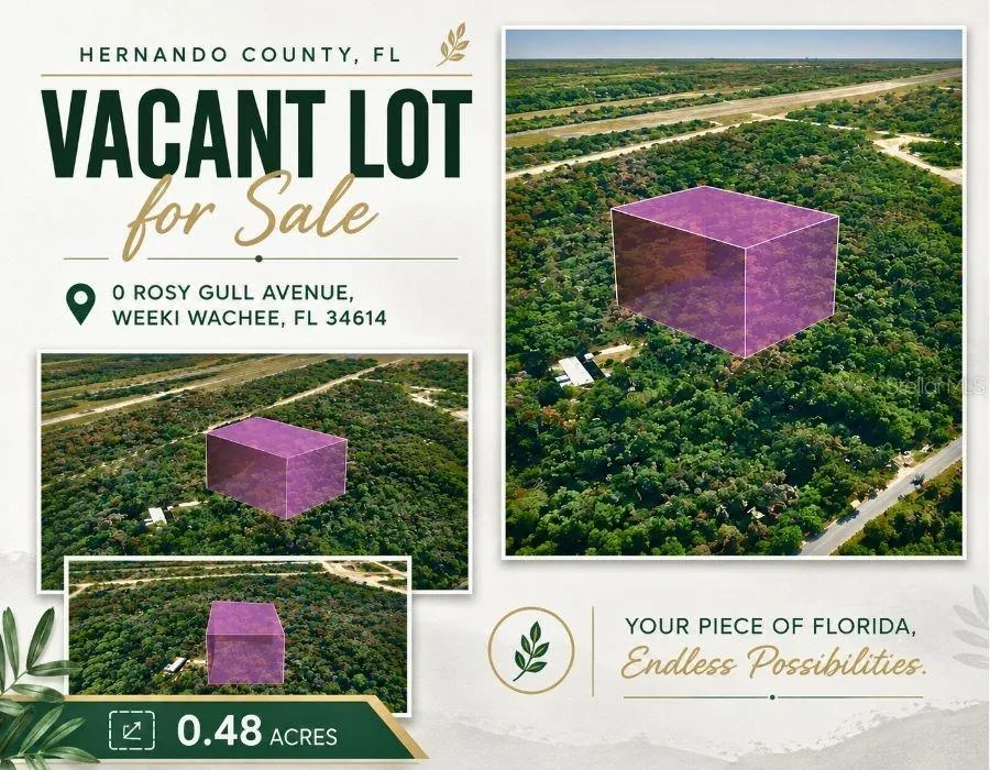 14186 ROSY GULL AVENUE Weeki Wachee, FL 34614
