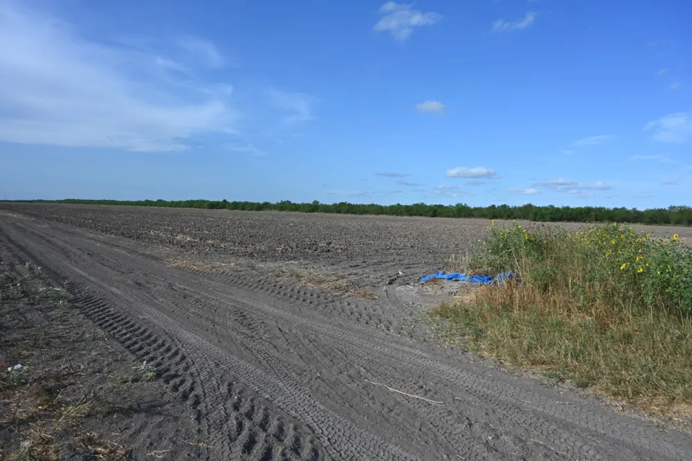 Bixby Rd La Feria, TX 78570