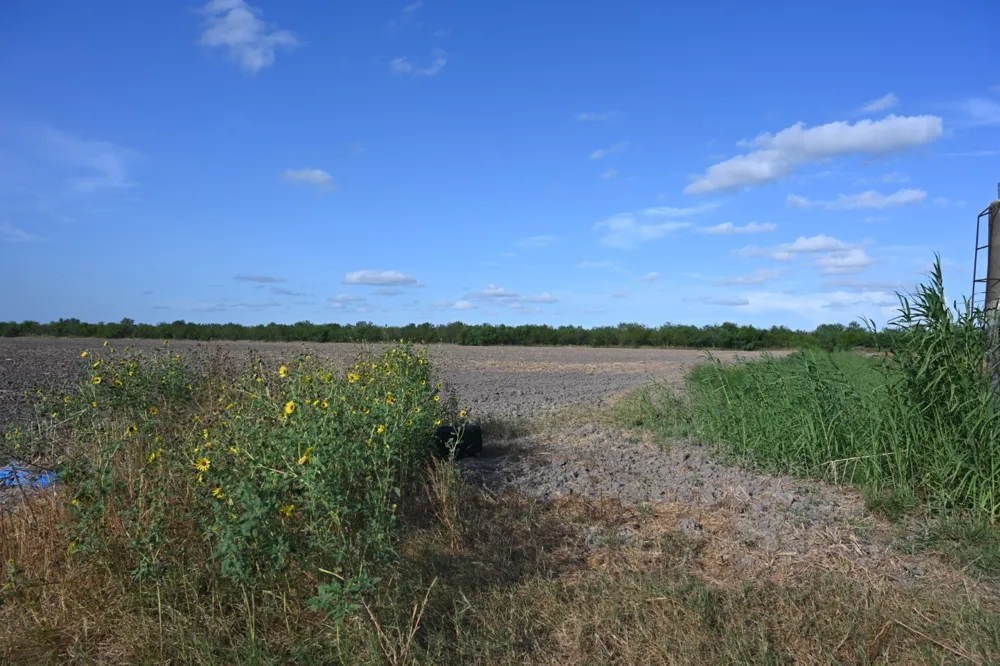 Bixby Rd La Feria, TX 78570