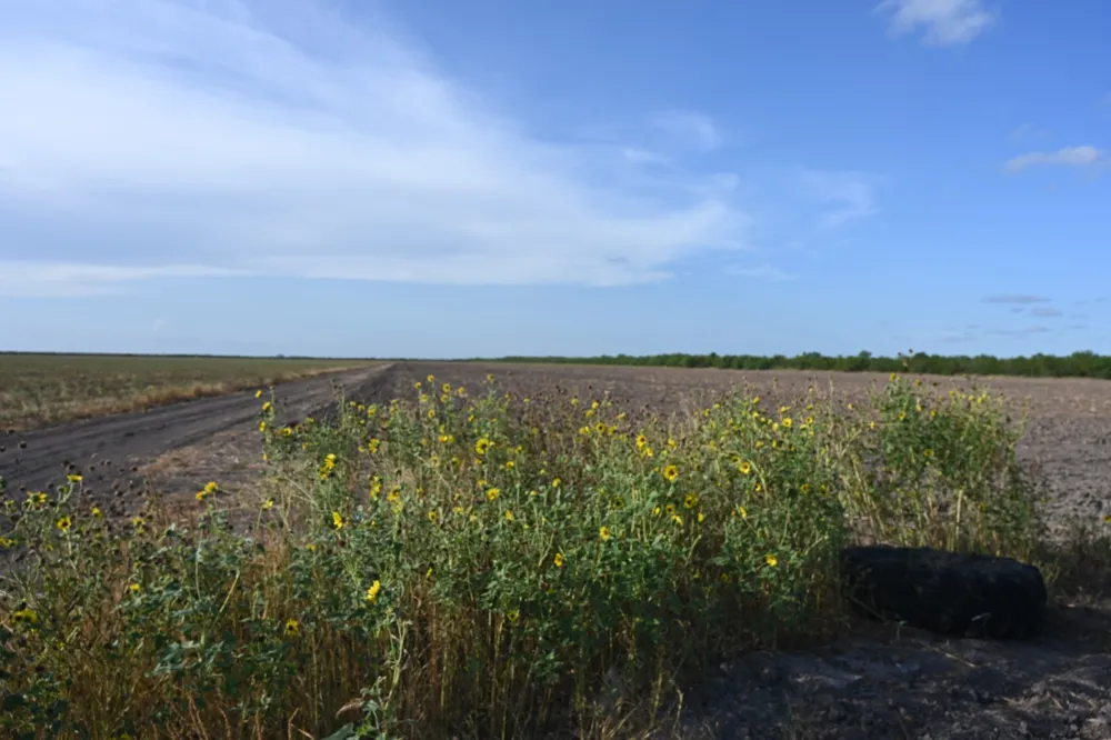 Bixby Rd La Feria, TX 78570