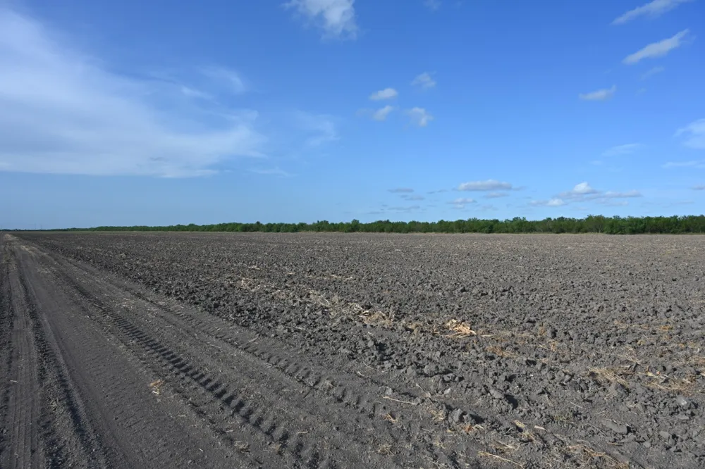Bixby Rd La Feria, TX 78570