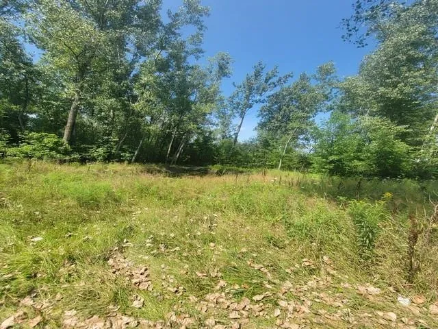 2615 Shaffer Road Turner Township, MI 48765