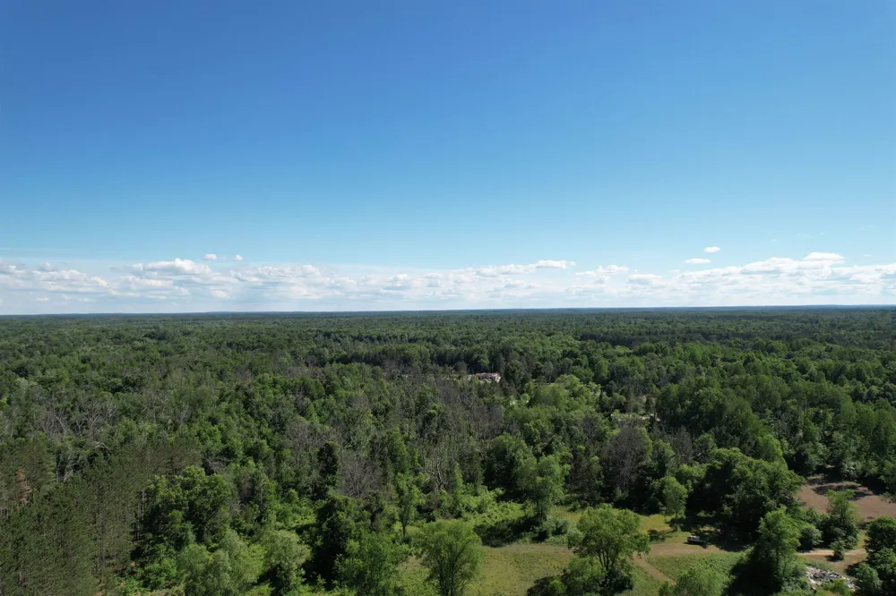 12808 M-115 Middle Branch Township, MI 49665