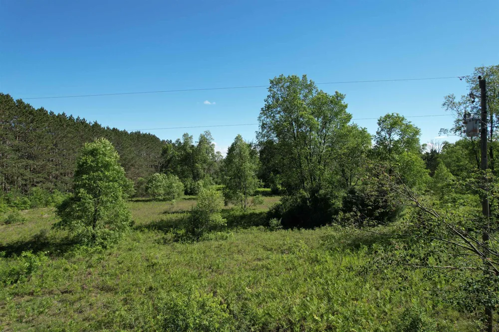 12808 M-115 Middle Branch Township, MI 49665