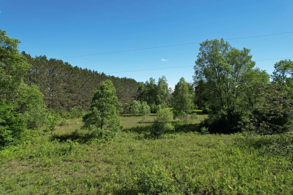 12808 M-115 Middle Branch Township, MI 49665