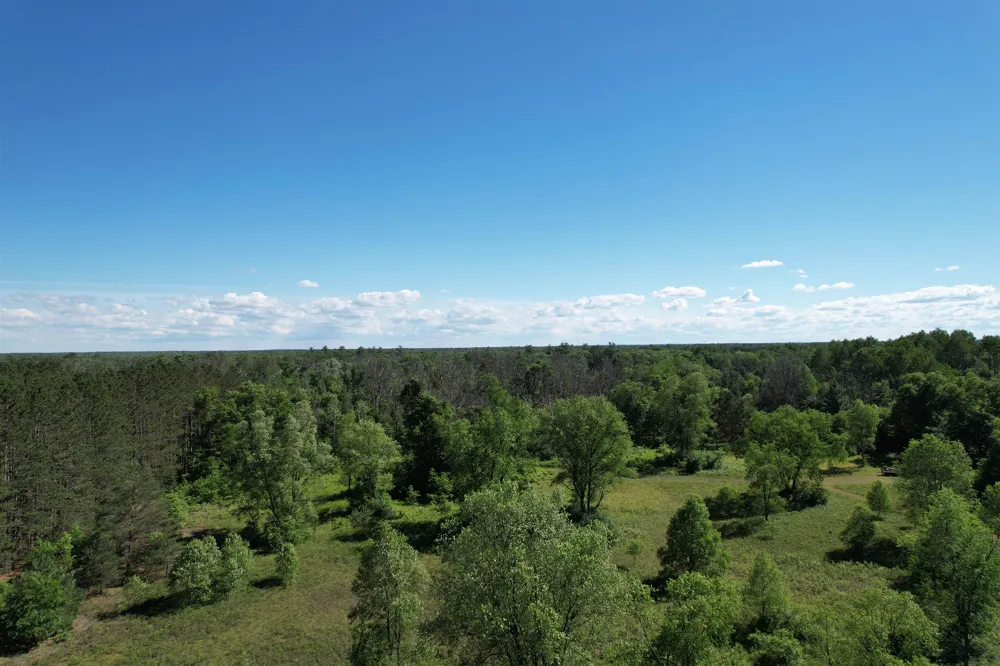 12808 M-115 Middle Branch Township, MI 49665