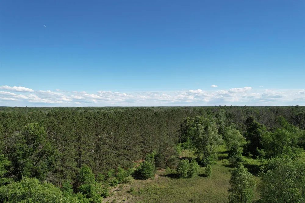 12808 M-115 Middle Branch Township, MI 49665