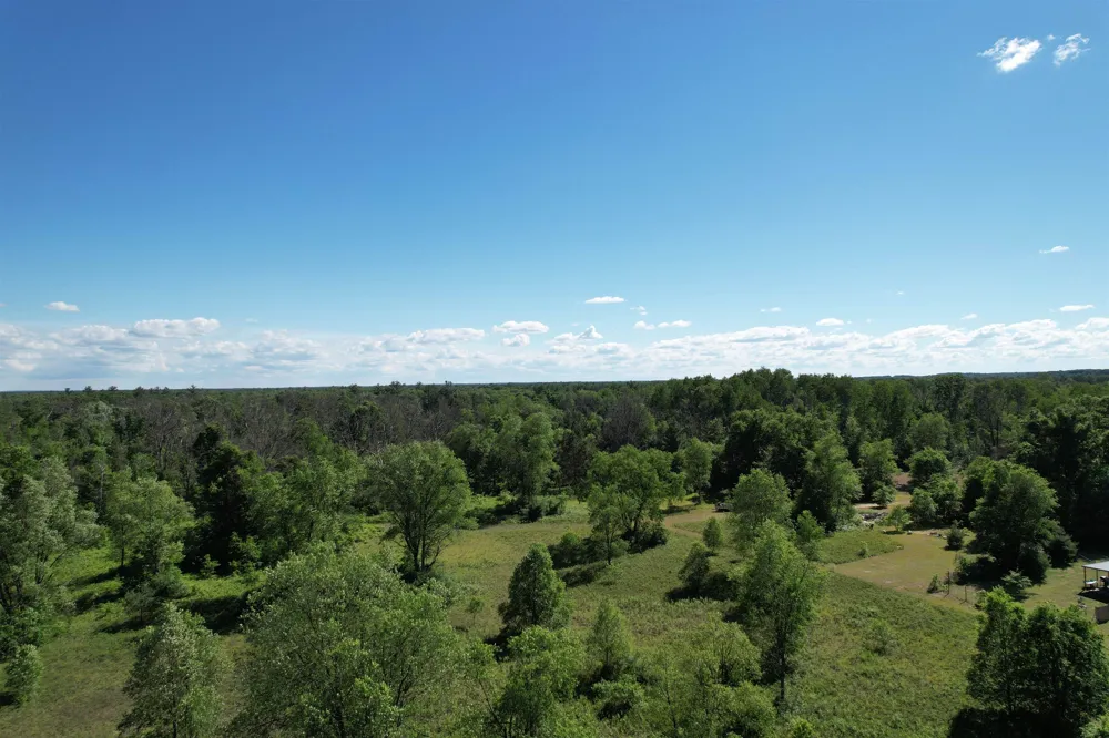 12808 M-115 Middle Branch Township, MI 49665