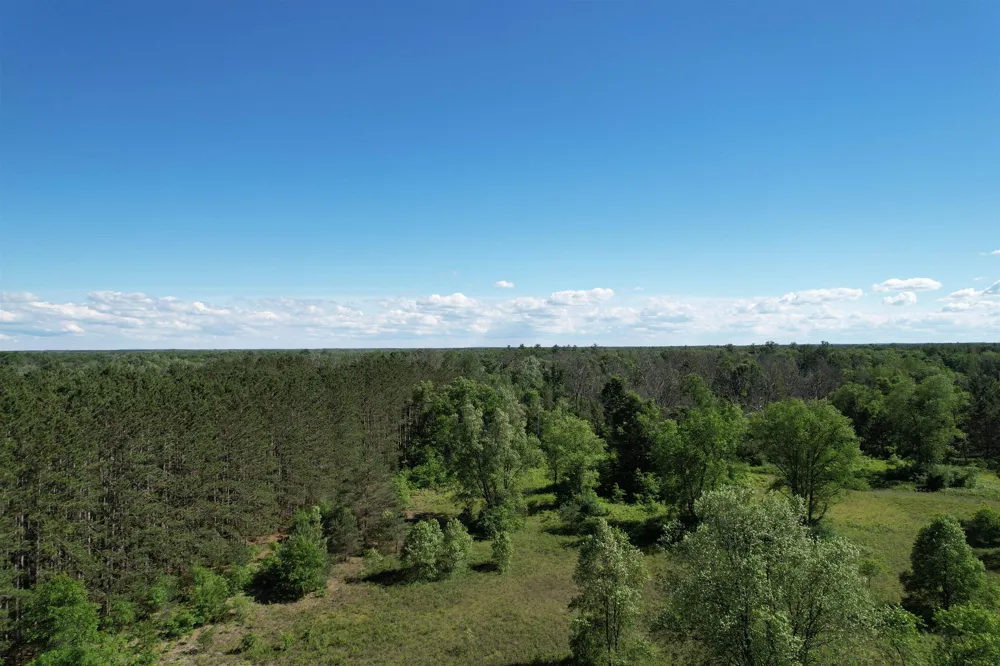 12808 M-115 Middle Branch Township, MI 49665