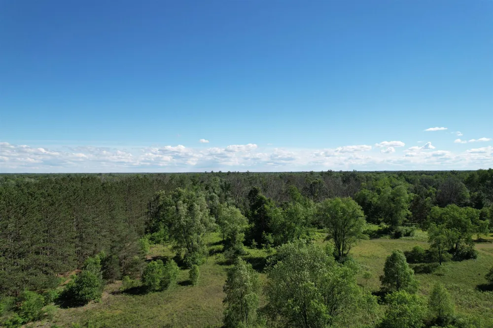 12808 M-115 Middle Branch Township, MI 49665