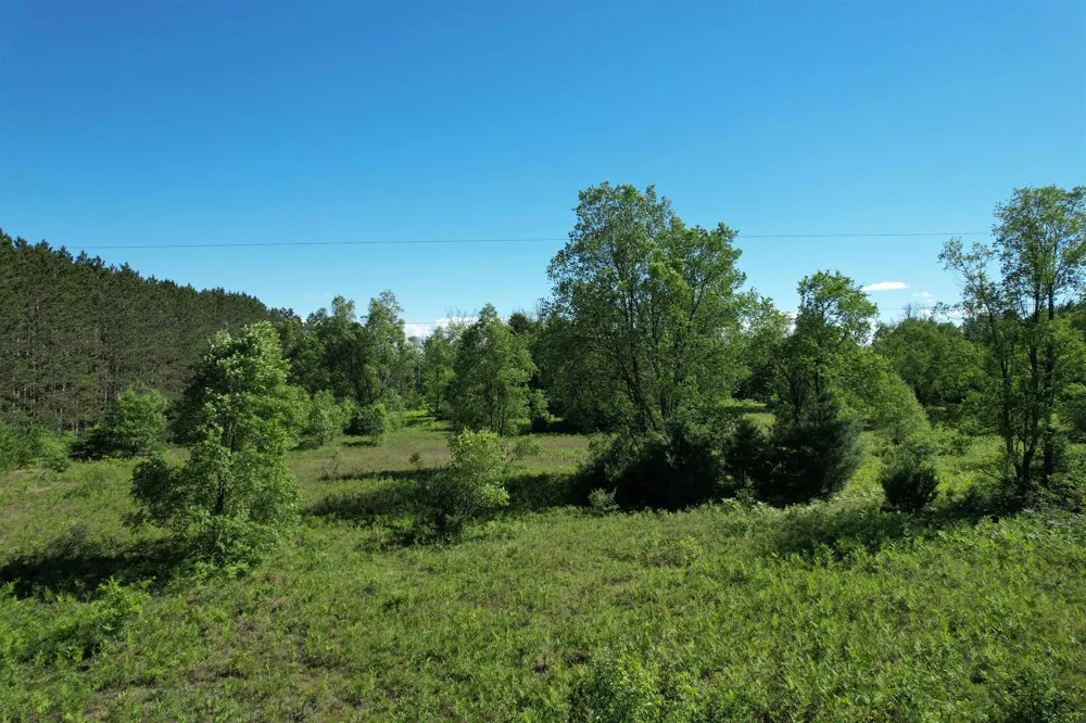 12808 M-115 Middle Branch Township, MI 49665