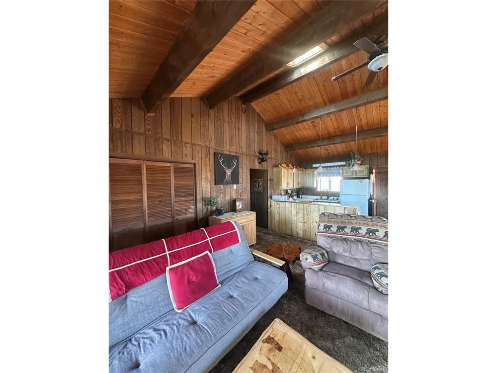 287 Hagin Lane Fort Garland, CO 81133