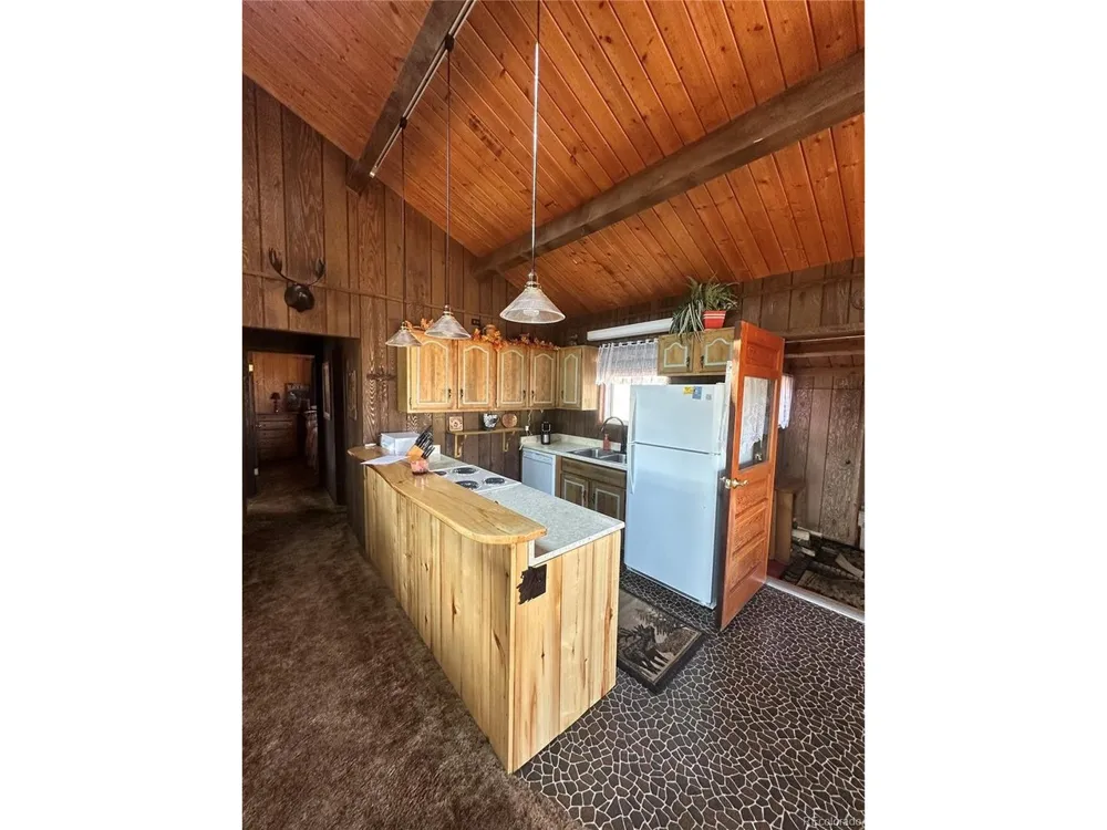 287 Hagin Lane Fort Garland, CO 81133