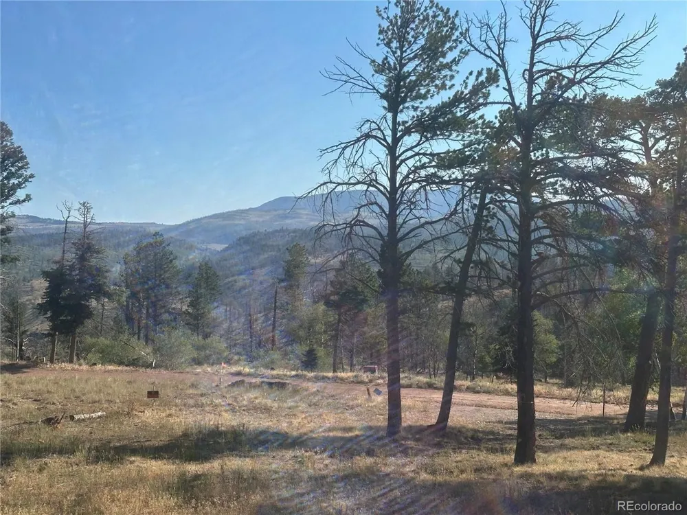 287 Hagin Lane Fort Garland, CO 81133