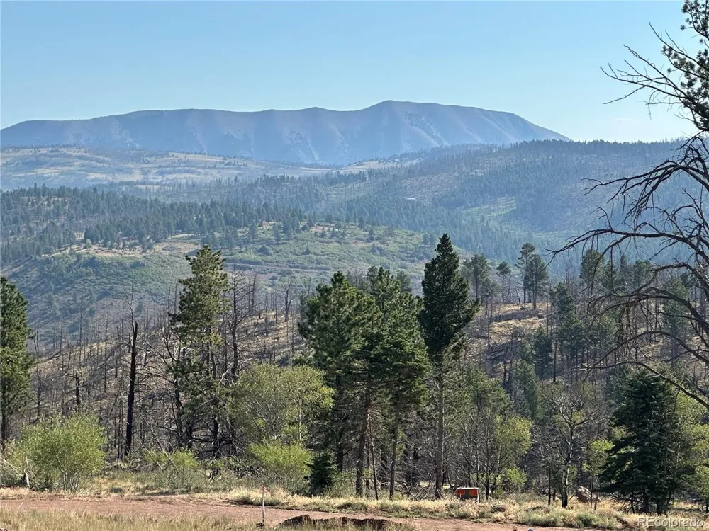 287 Hagin Lane Fort Garland, CO 81133