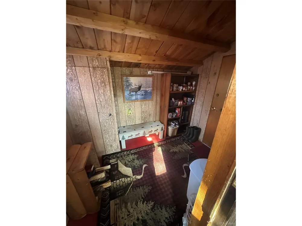 287 Hagin Lane Fort Garland, CO 81133