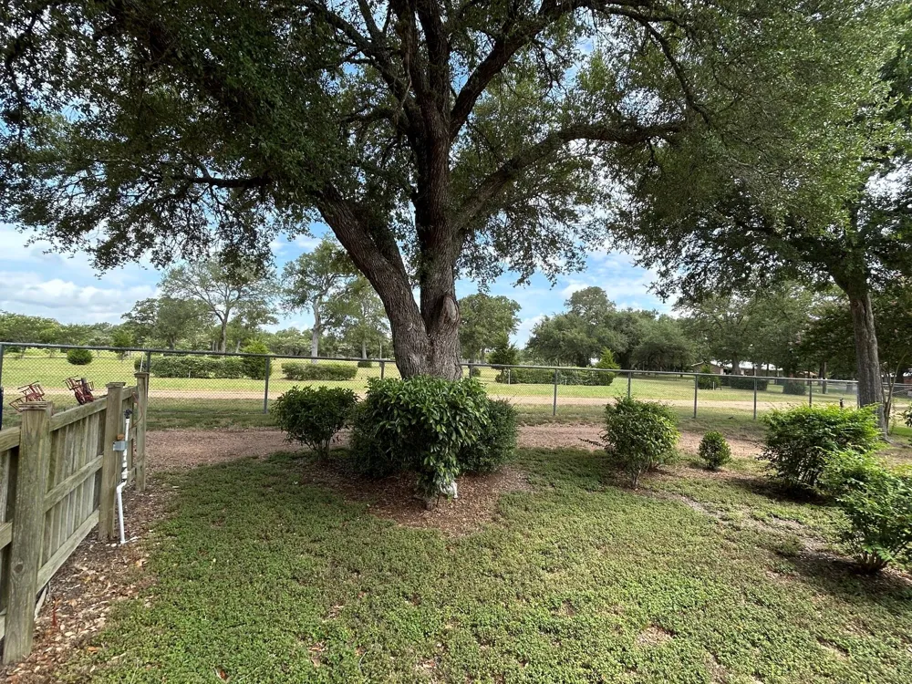 7618 Meiners Road Ledbetter, TX 78946