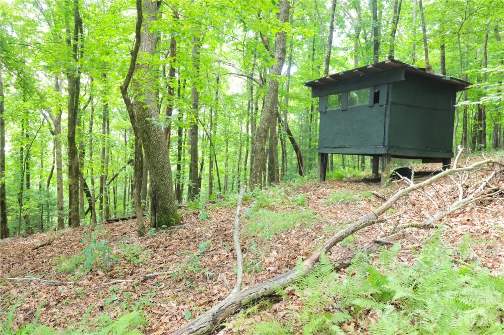 141 Owl Haven Lane Cedar Mountain, NC 28718