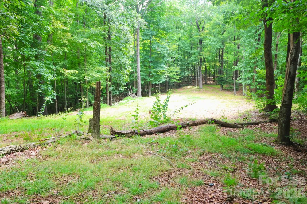141 Owl Haven Lane Cedar Mountain, NC 28718