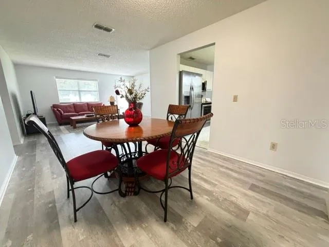 335 SAN MARINO DRIVE Lady Lake, FL 32159