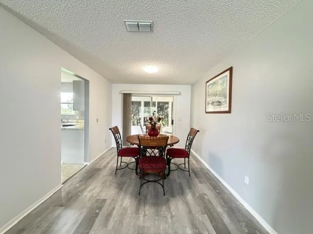 335 SAN MARINO DRIVE Lady Lake, FL 32159