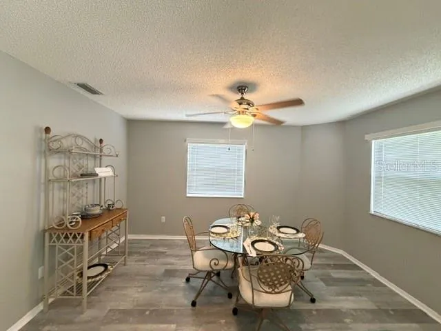 335 SAN MARINO DRIVE Lady Lake, FL 32159