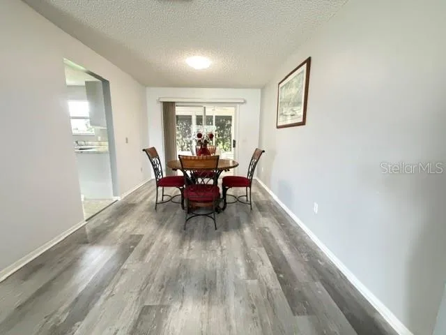 335 SAN MARINO DRIVE Lady Lake, FL 32159