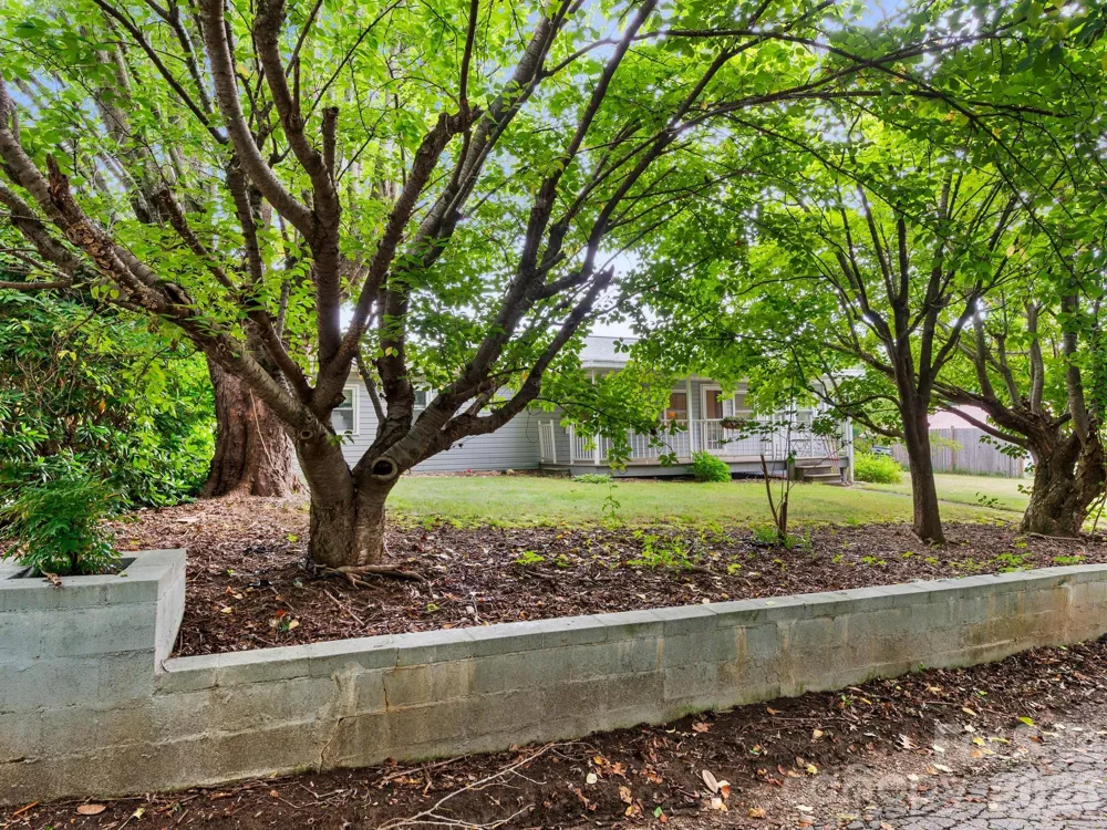 32 Fair Drive Candler, NC 28715
