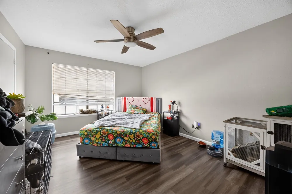 2632 Piedras Irving, TX 75038