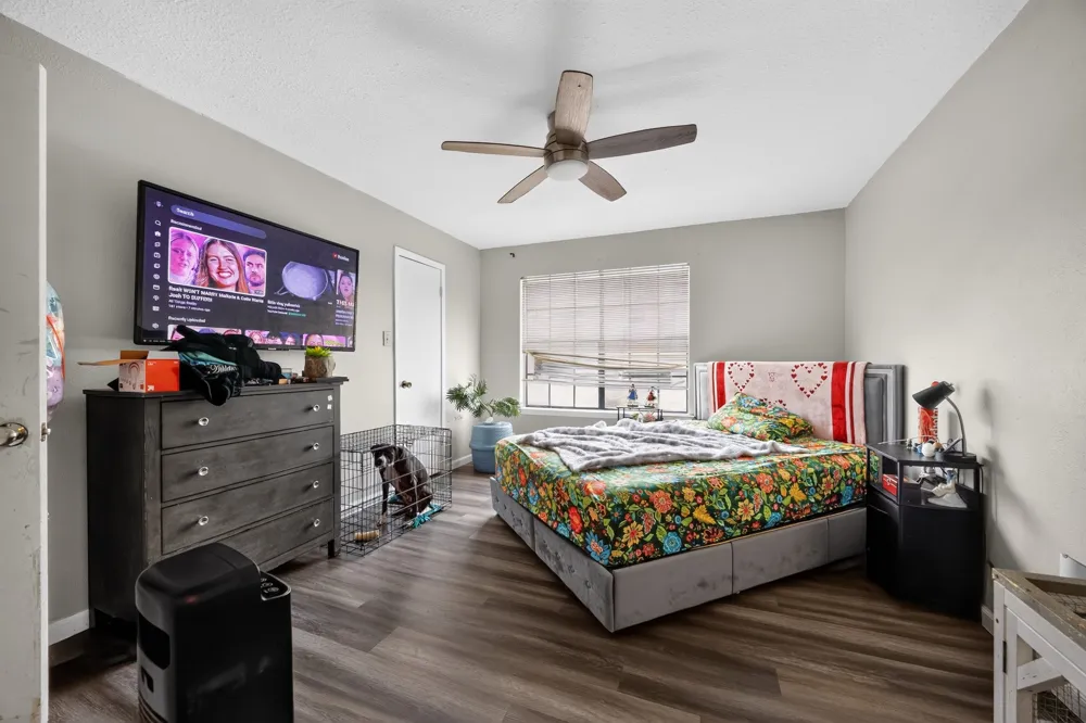 2632 Piedras Irving, TX 75038