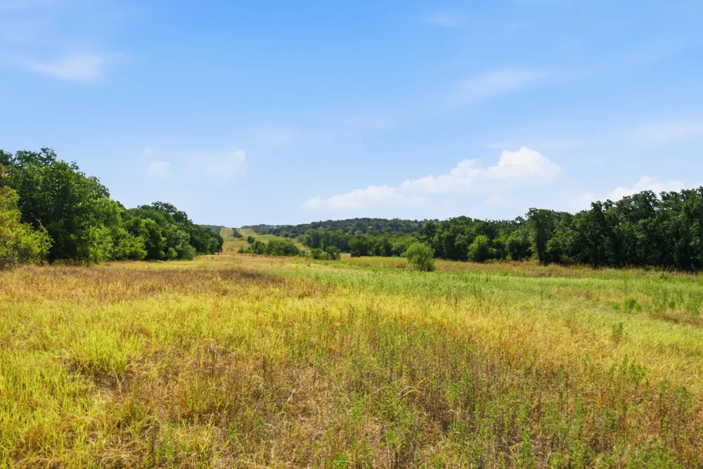 15075 Cr355 Dublin, TX 76446