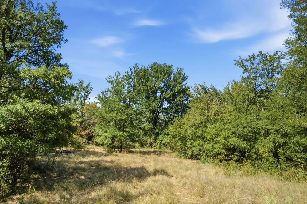 15075 Cr355 Dublin, TX 76446
