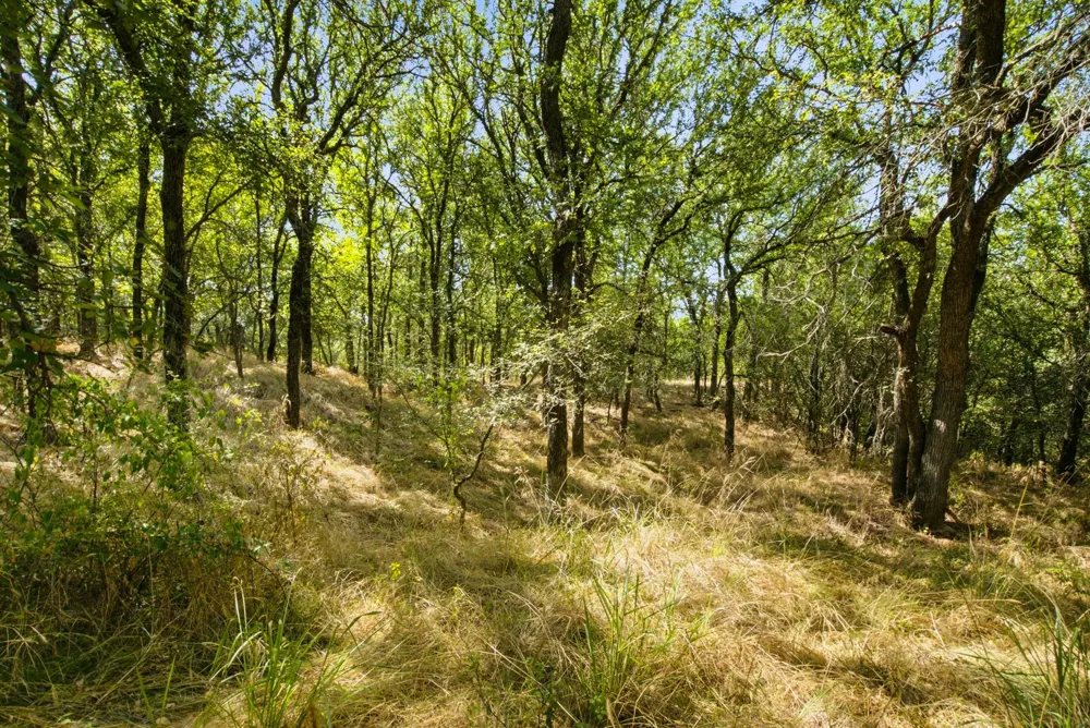15075 Cr355 Dublin, TX 76446