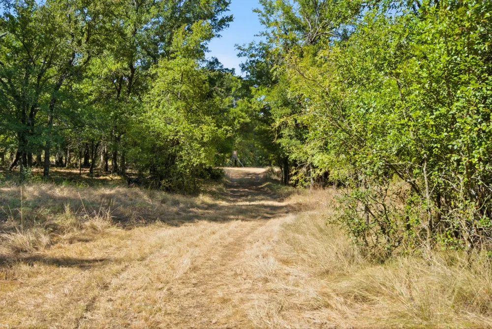 15075 Cr355 Dublin, TX 76446