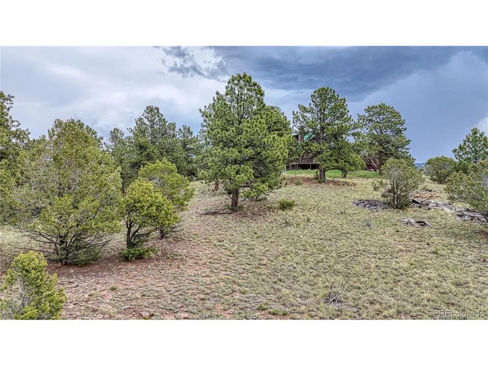 44 Honeysuckle Terrace Westcliffe, CO 81252