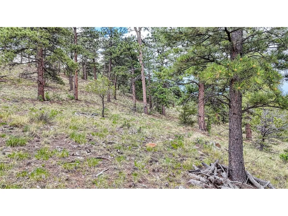 44 Honeysuckle Terrace Westcliffe, CO 81252