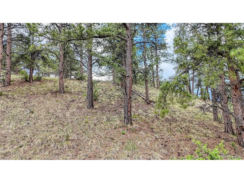 44 Honeysuckle Terrace Westcliffe, CO 81252