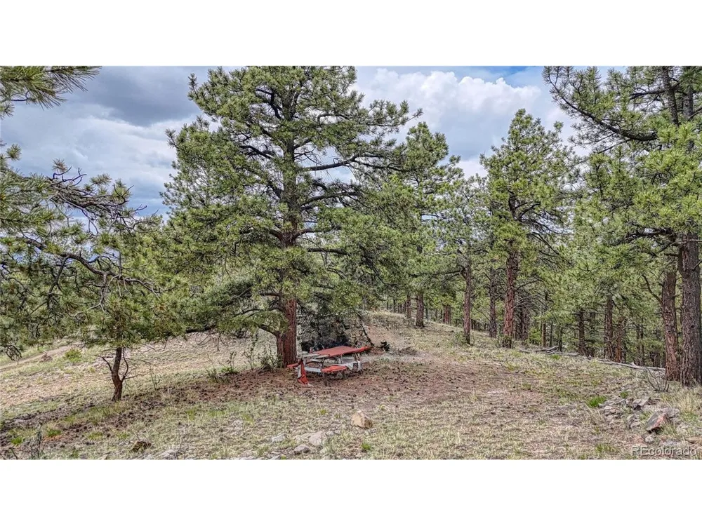 44 Honeysuckle Terrace Westcliffe, CO 81252