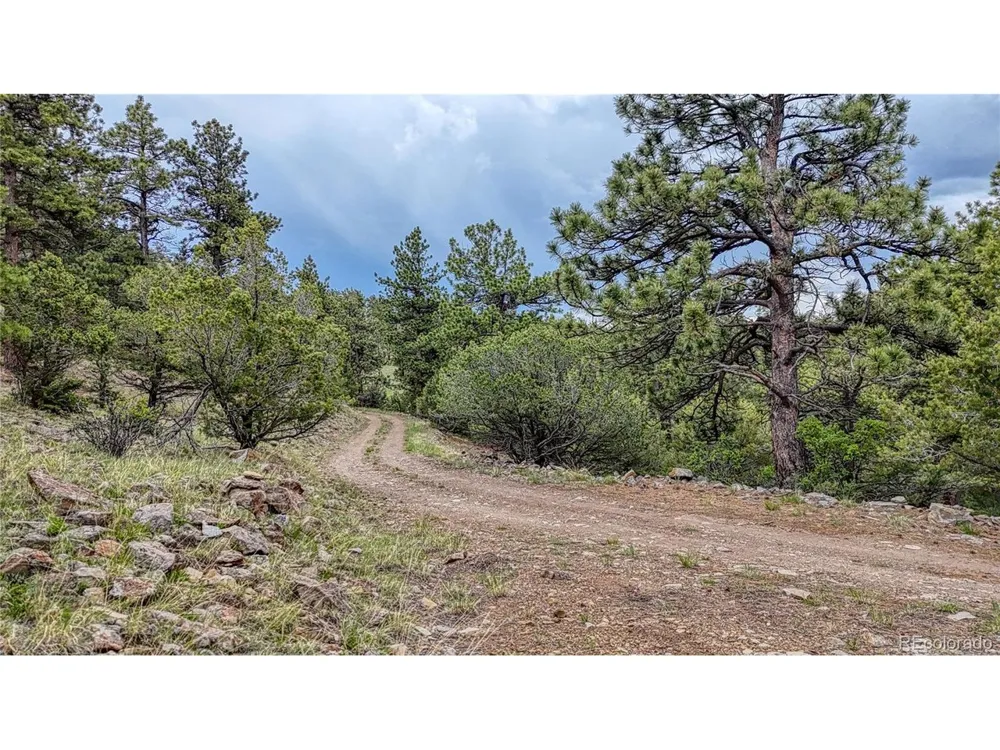 44 Honeysuckle Terrace Westcliffe, CO 81252