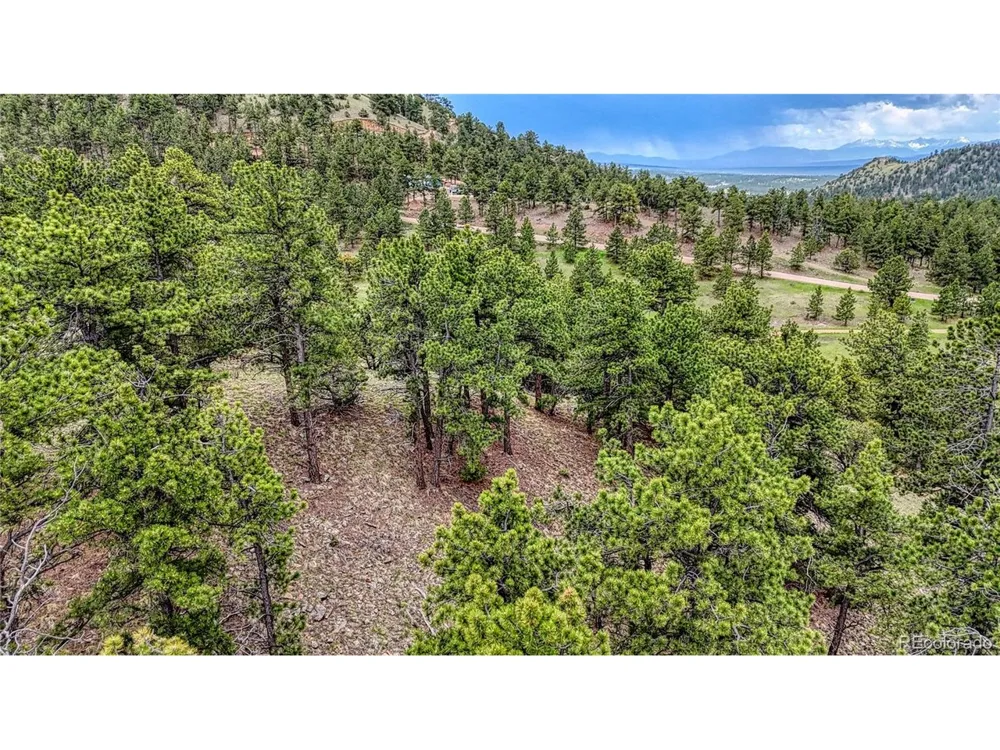 44 Honeysuckle Terrace Westcliffe, CO 81252
