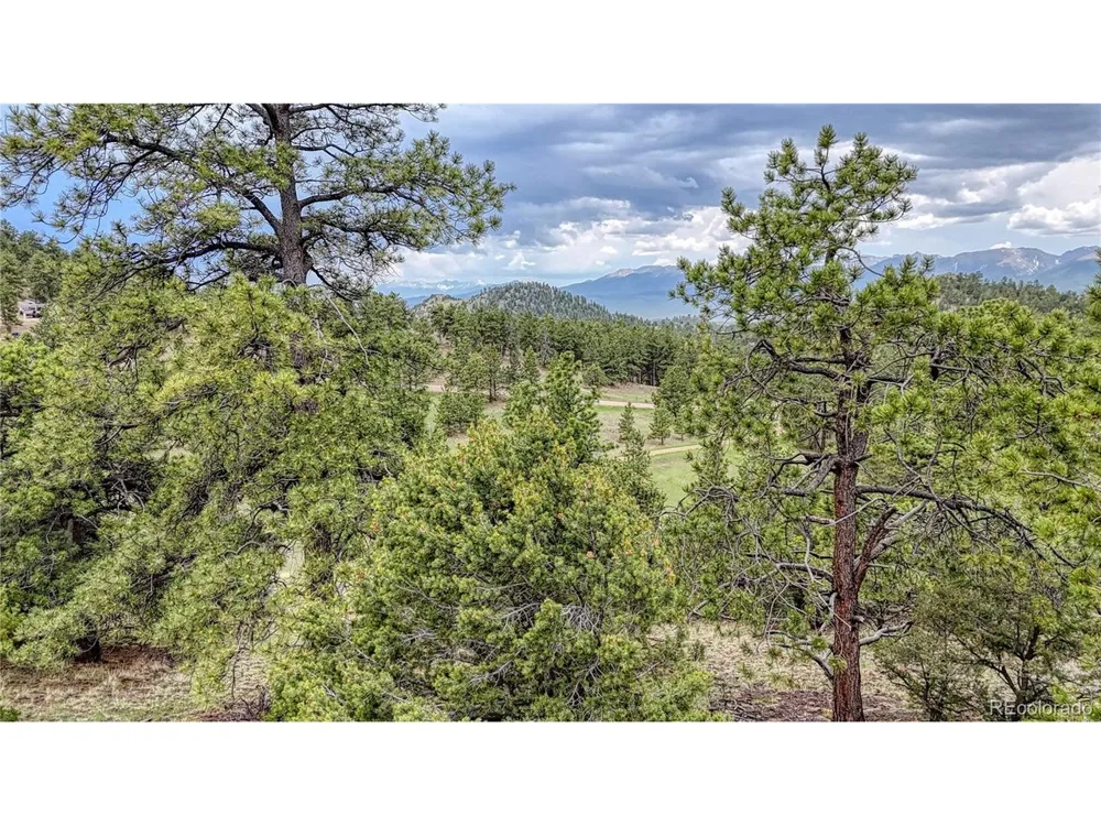 44 Honeysuckle Terrace Westcliffe, CO 81252