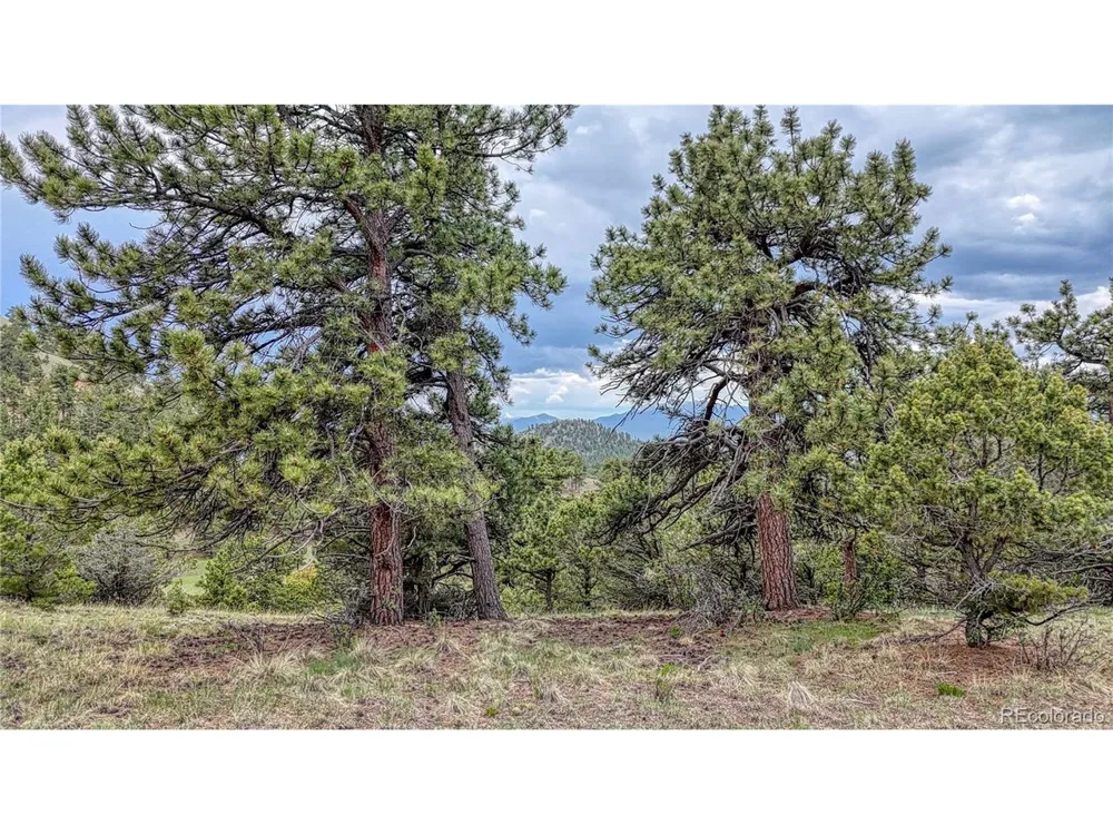 44 Honeysuckle Terrace Westcliffe, CO 81252