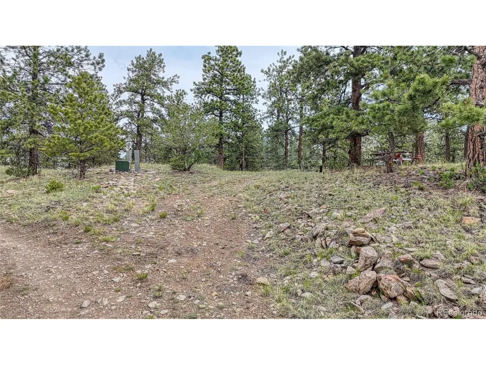 44 Honeysuckle Terrace Westcliffe, CO 81252