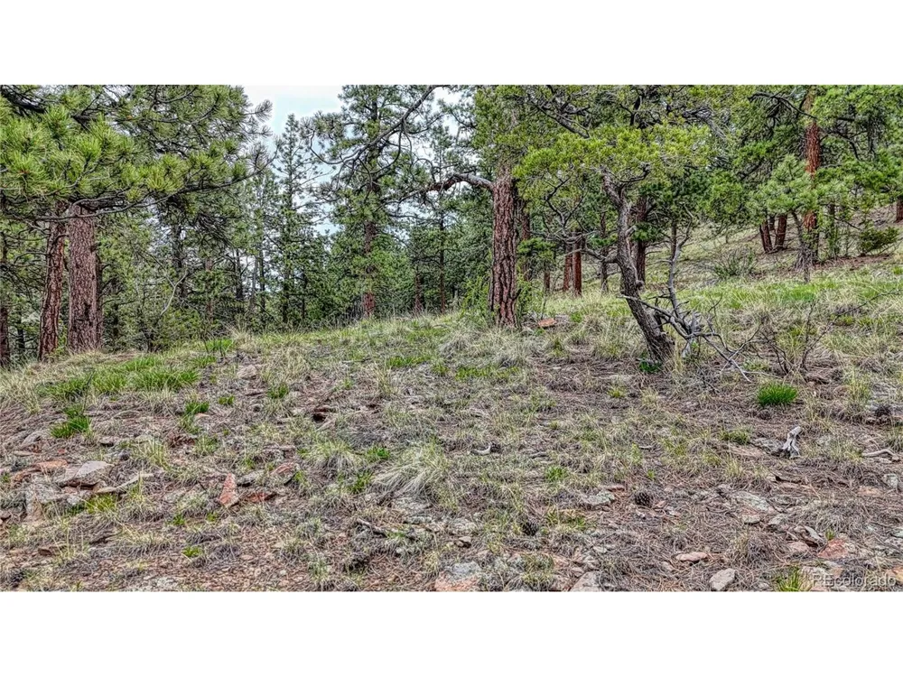 44 Honeysuckle Terrace Westcliffe, CO 81252
