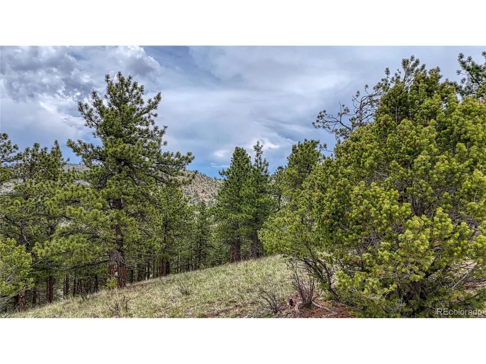 44 Honeysuckle Terrace Westcliffe, CO 81252